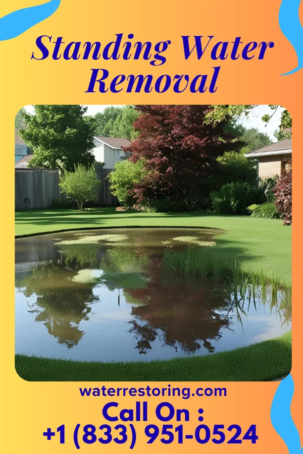 Standing Water Removal in Primrose, NE